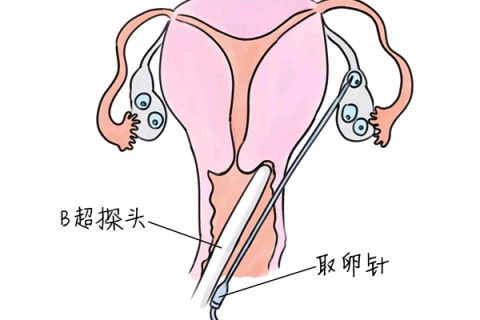 http://tianjin.huochezhan.net/post/205.html|天津供卵助孕
