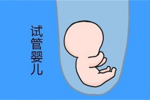 培养天津捐卵宝宝艺术细胞的小技巧