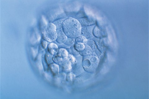 http://tianjin.huochezhan.net/post/200.html|天津新闻中心